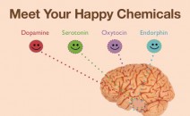 4 Hormon Menentukan Kebahagiaan Manusia