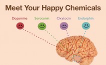 4 Hormon Menentukan Kebahagiaan Manusia